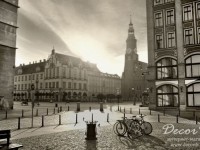 fotooboi_europe_5