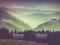 Misty summer mountain hills landscape. Filtered image:cross processed vintage effect.